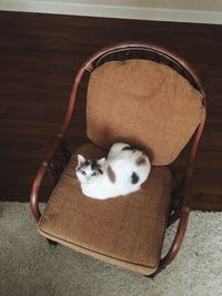 Dog resting in basket