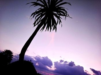 Low angle view of silhouette palm trees against sky at sunset