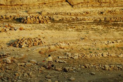 Full frame shot of stones on field