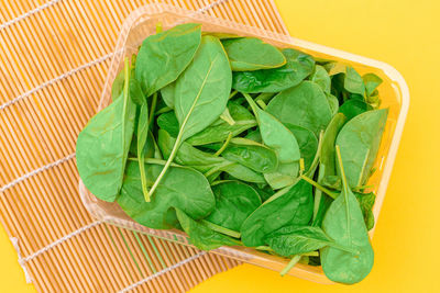 High angle view of fresh green leaves