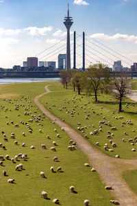 View of buildings in city