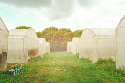 Tents at greenhouse against cloudy sky