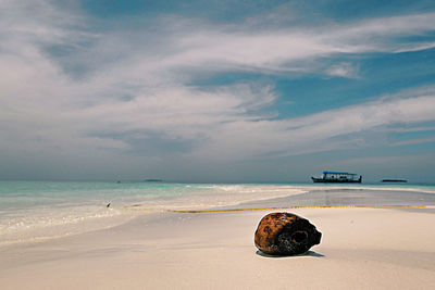 Scenic view of sea shore against sky