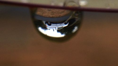 Close-up of water drops on glass