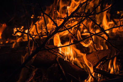 Close-up of fire on log at night