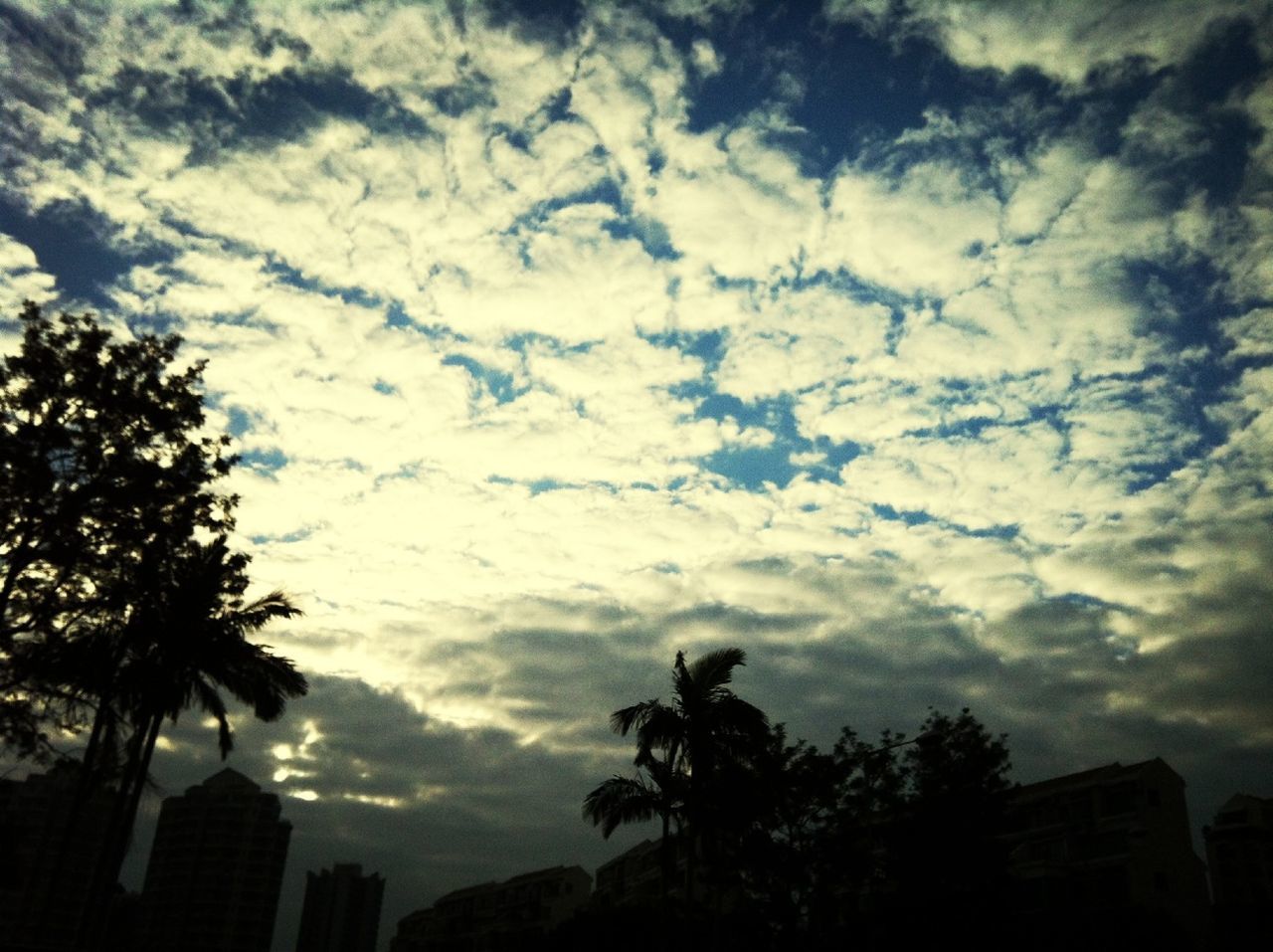 sky, cloud - sky, cloudy, low angle view, tree, silhouette, building exterior, built structure, architecture, cloud, weather, overcast, nature, dusk, beauty in nature, scenics, palm tree, sunset, storm cloud, outdoors
