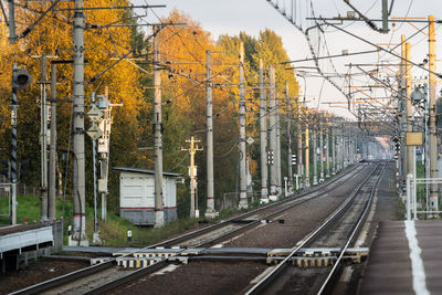 Empty railway tracks at sunset, forest on background. perspective of electrified high-speed railroad