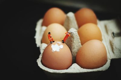 Close-up of eggs