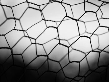 Close-up of net against white background