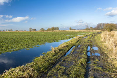 Puddles on a green field and rural road, white clouds on the blue sky, sunny day