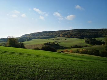 Scenic view of agricultural field against sky