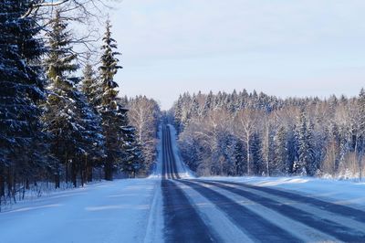 Road amidst trees against sky during winter