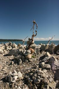 Rocks on beach against clear sky