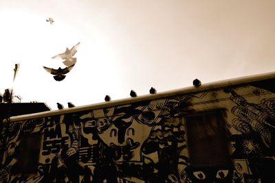 Low angle view of birds flying against sky