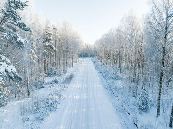 Forest in snow. snowy forest road. forest road from above