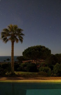 Palm trees on landscape against sky