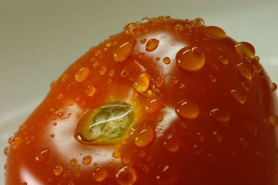 Close-up of wet glass against orange background