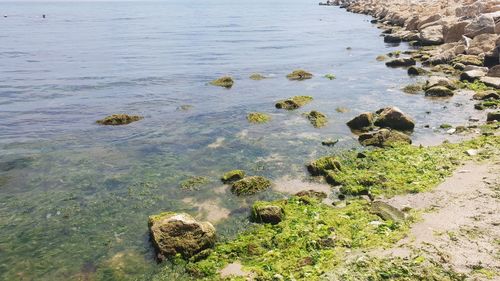 High angle view of rocks in sea