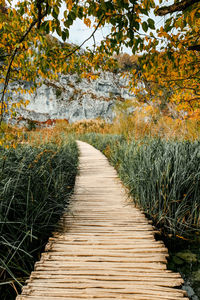 Empty wooden path in idyllic park in autumn