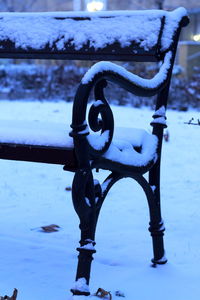 Close up of dry plant