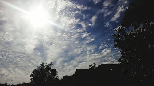 Low angle view of trees against sky