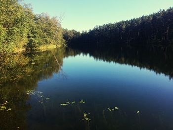 Scenic view of lake in forest against sky