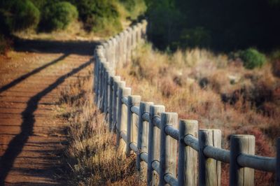 Fence on field