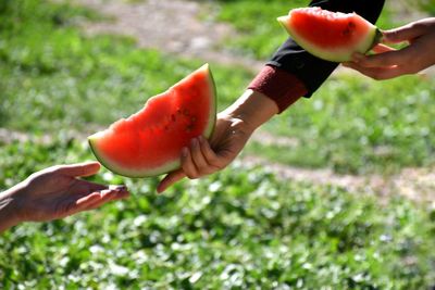 Close-up of hand handing over watermelon