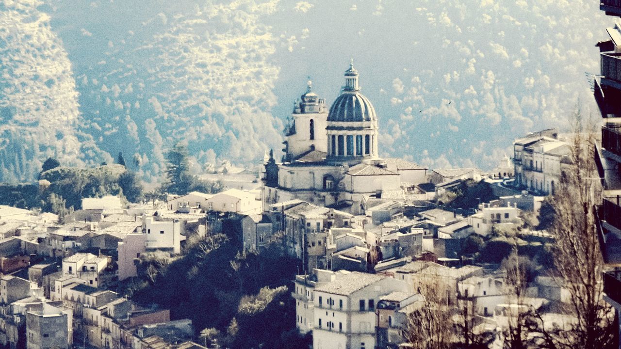 HIGH ANGLE VIEW OF BUILDINGS AND TREES