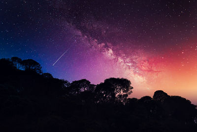 Low angle view of silhouette trees against sky at night