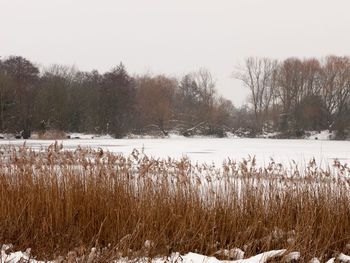 Scenic view of frozen lake against sky during winter