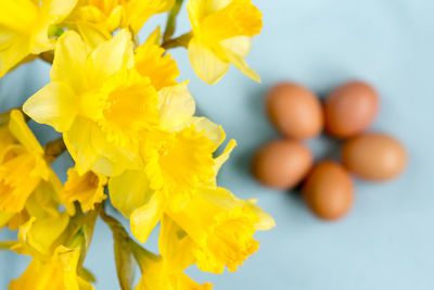 Close-up of yellow daffodils against brown eggs on table