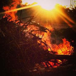 Close-up of bonfire at sunset