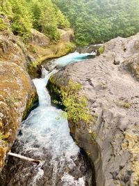 Stream flowing through rocks in forest