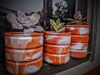 Stack of potted plant on table