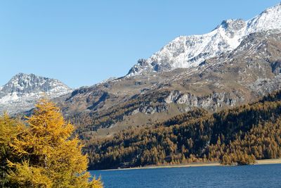 Scenic view of lake against clear blue sky