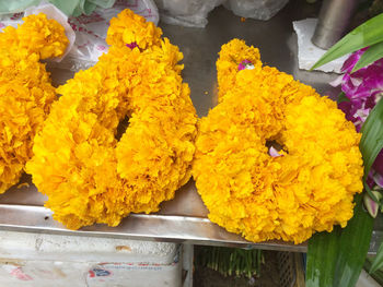 Close-up of yellow flower