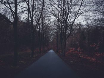Road passing through bare trees