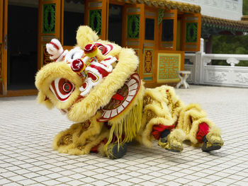 Close-up of lion dacing  with animal representation art performance