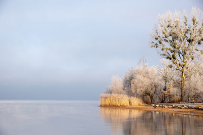 Scenic view of lake by trees against sky