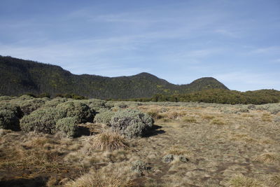 Scenic view of land against sky