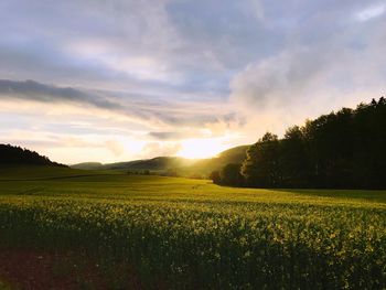 Scenic view of field against sky during sunset