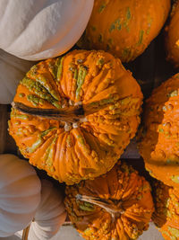 Autumn harvest,orange pumpkins close-up, fall background