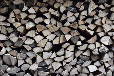 Full frame shot of logs in forest