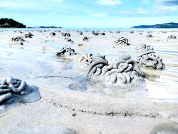 Surface level of sandy beach