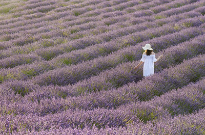 Shadow of woman on flowering plants on field