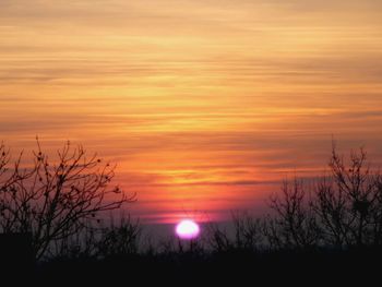 Silhouette bare trees against romantic sky at sunset