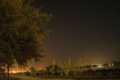 Trees on field at night