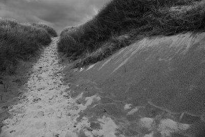 Close-up of lizard on sand at beach against sky