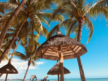 Low angle view of thatched roof parasols and palm trees at beach against blue sky